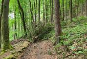 Norissteig